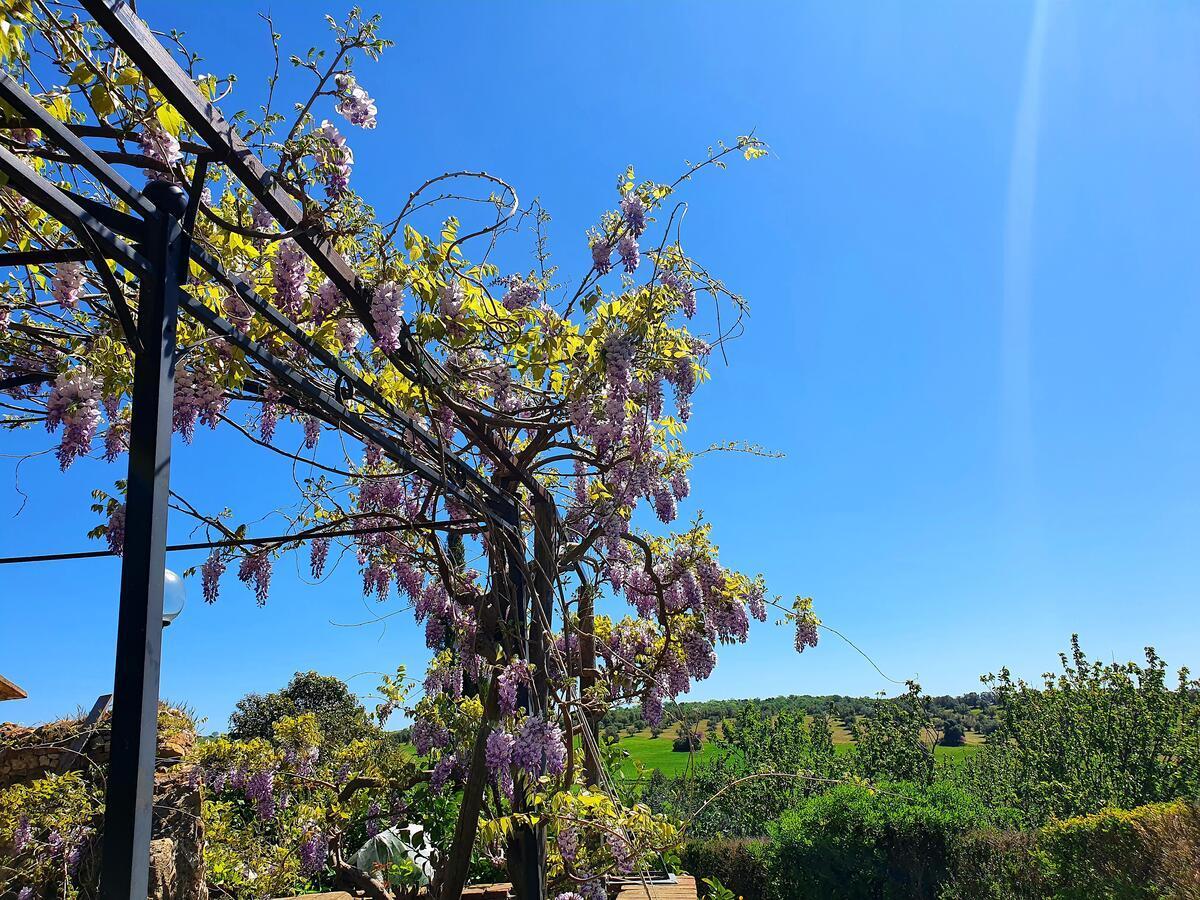 Residenza Santa Maria In Borraccia Bed and Breakfast Magliano in Toscana Εξωτερικό φωτογραφία
